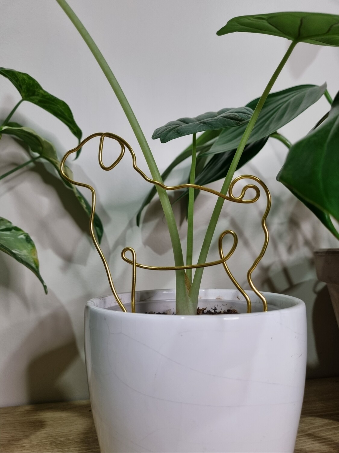 The Klaus Plant Stake
