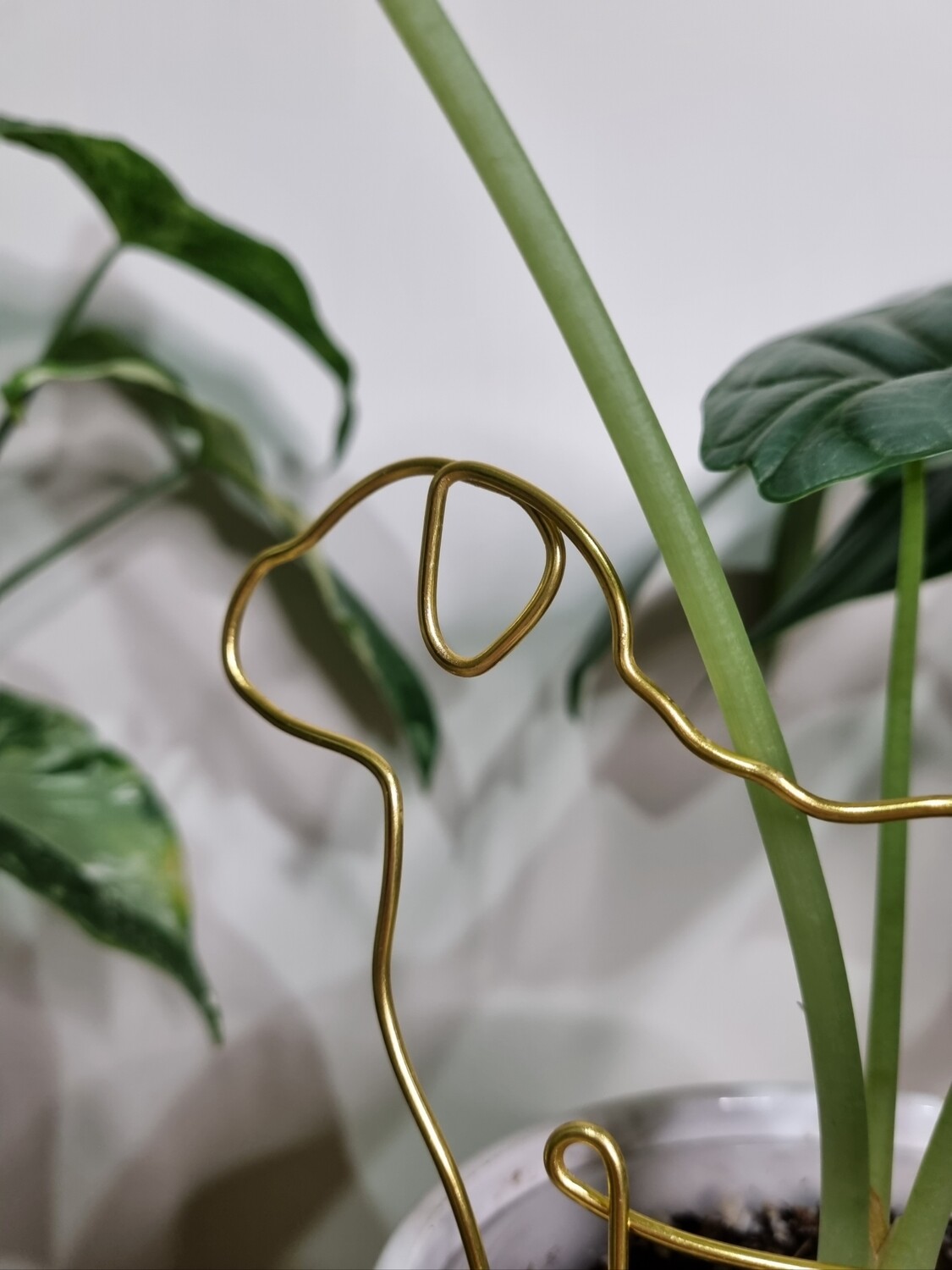 The Klaus Plant Stake