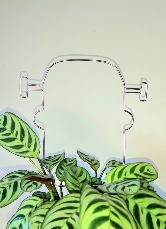 Let’s Be Frank Plant Trellis