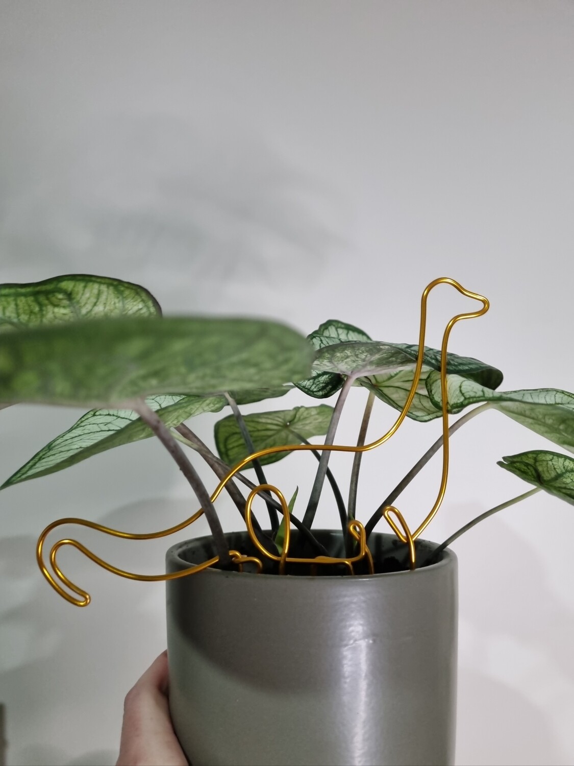 Brontoplant – Brontosaurus Plant Stake