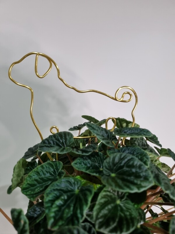 The Klaus Plant Stake