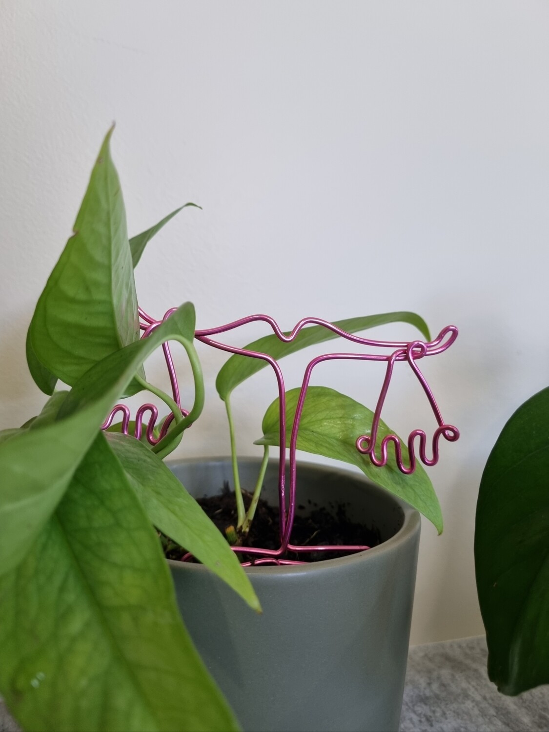 “Balanced &amp; Bougie” – Zodiac Plant Stake