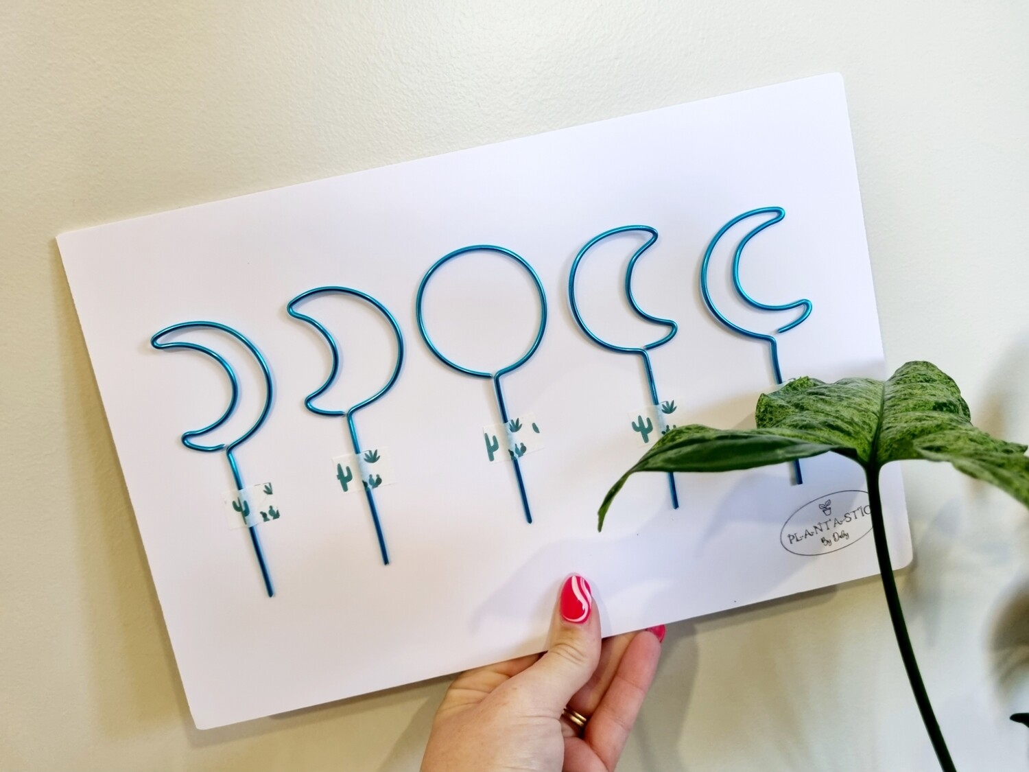 Phases of the moon Mini plant stakes