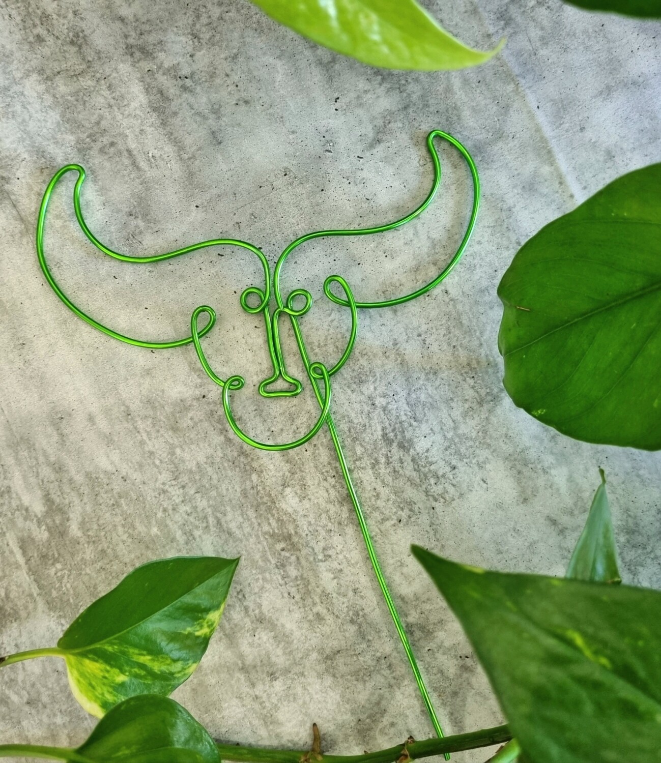 &quot;Rooted in Taurus&quot; – Zodiac Plant Stake