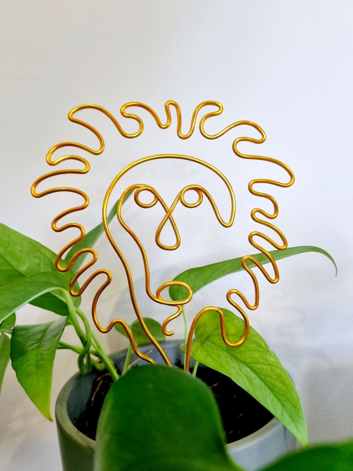 “Hear Me Roar” – Zodiac Plant Stake