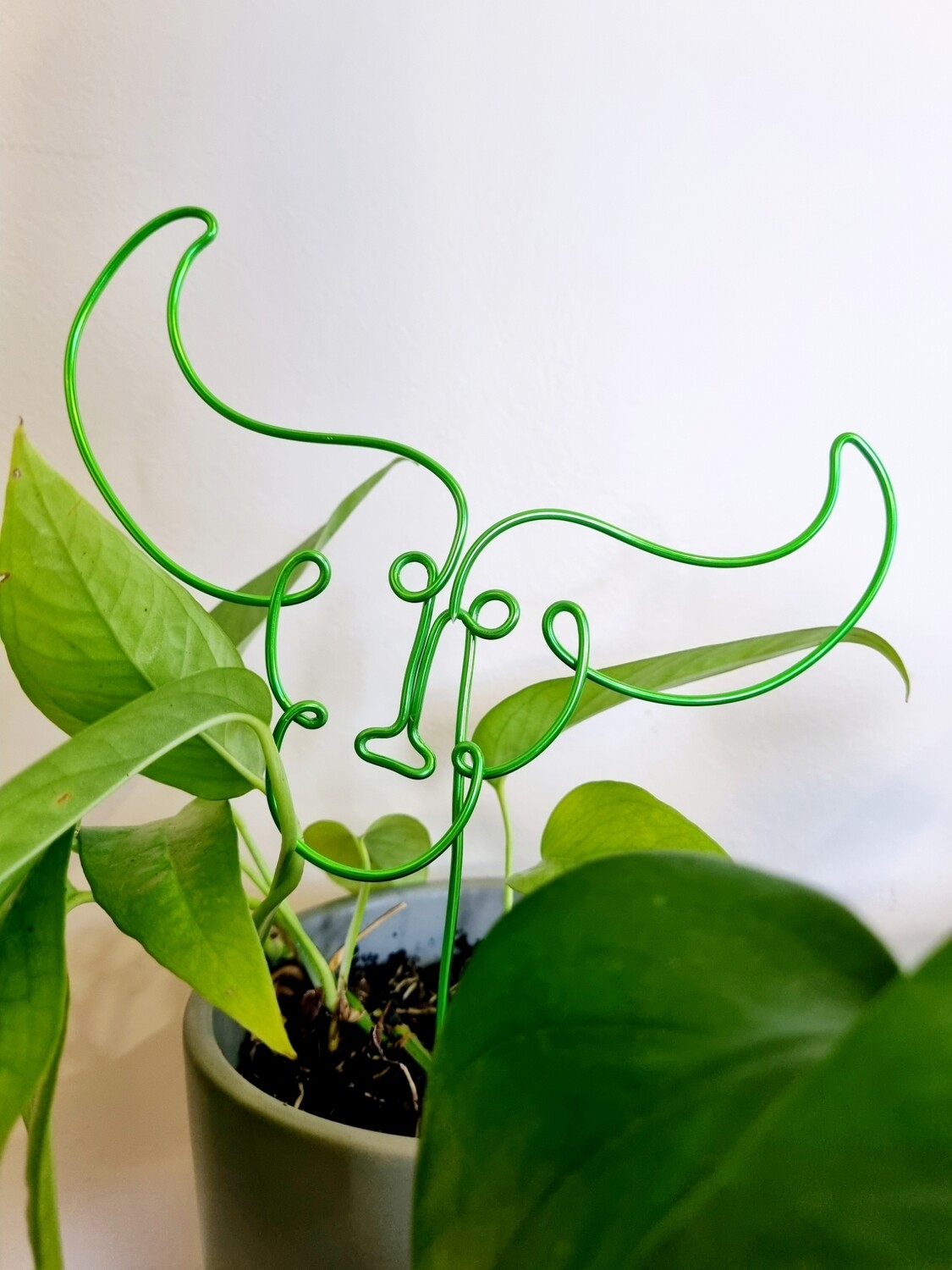 &quot;Rooted in Taurus&quot; – Zodiac Plant Stake