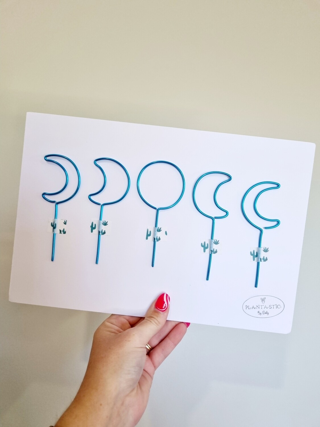 Phases of the moon Mini plant stakes