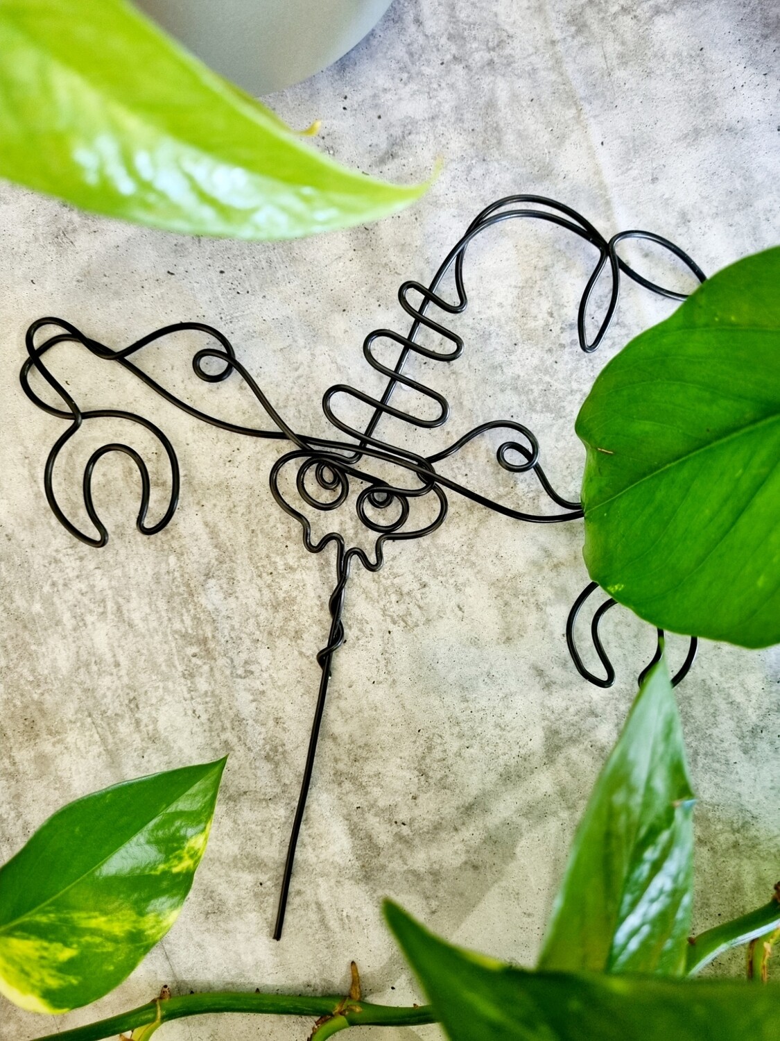 “Sting in Style” – Zodiac Plant Stake