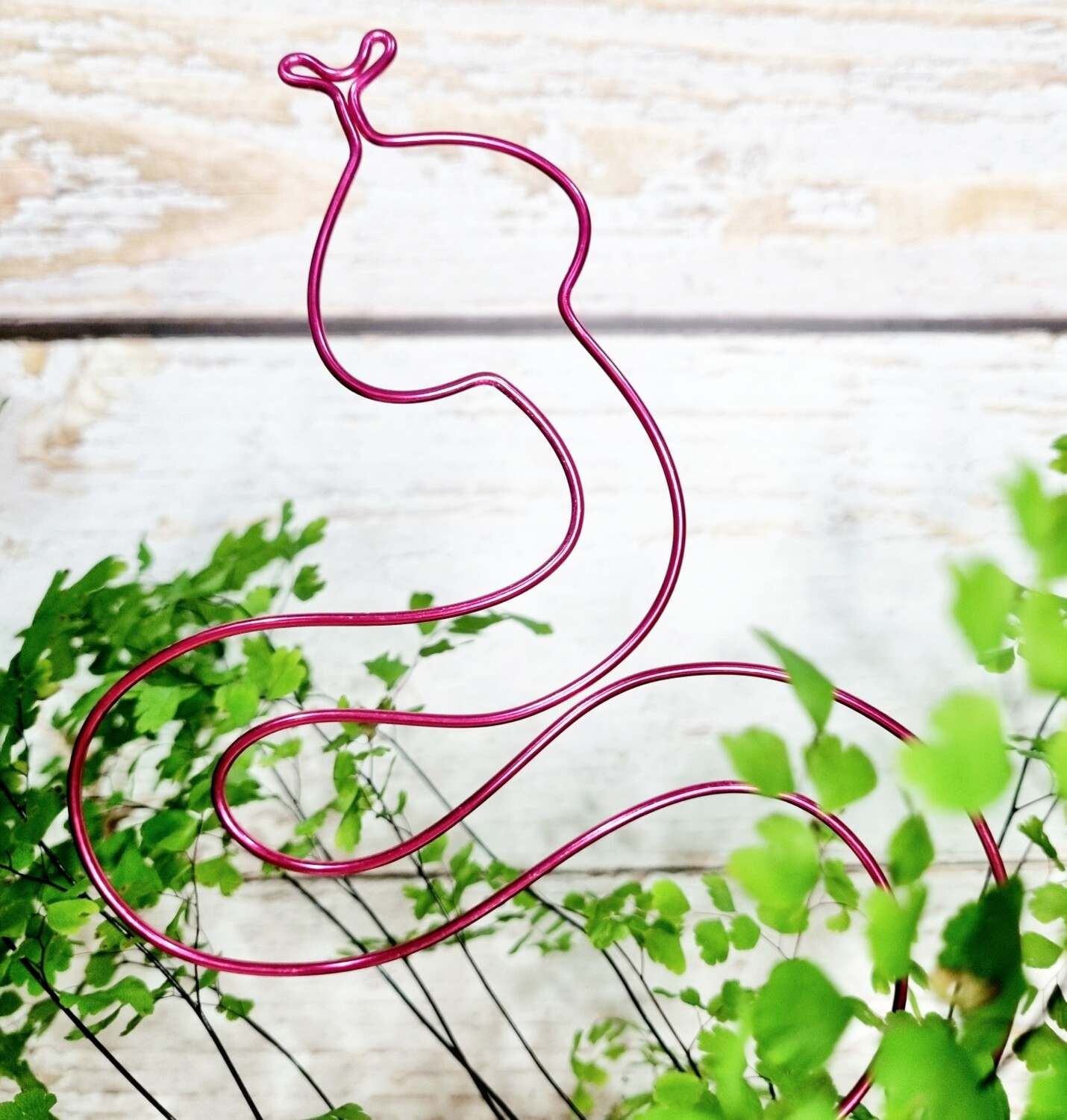 &quot;Snug as a Slither&quot; Aussie Plant Stake