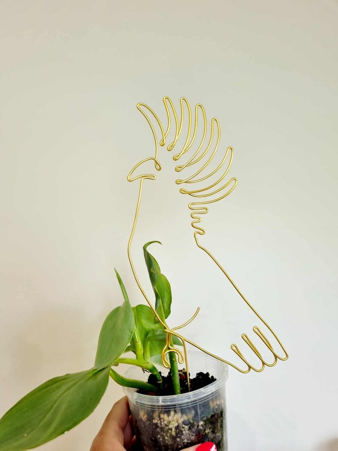 In An Old Rocking chair Plant Stake