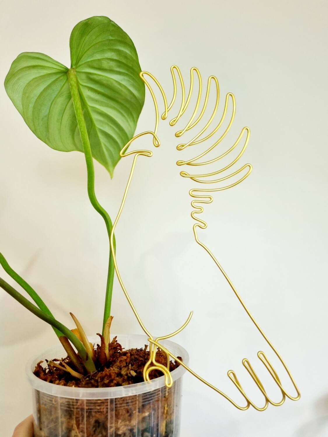 In An Old Rocking chair Plant Stake