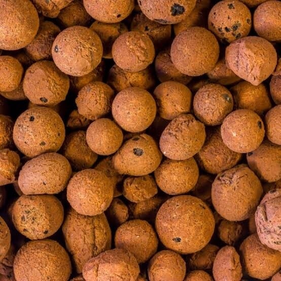 Leca