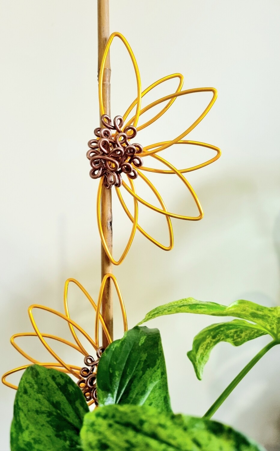 Sunflower Plant stake/u-cane trellis