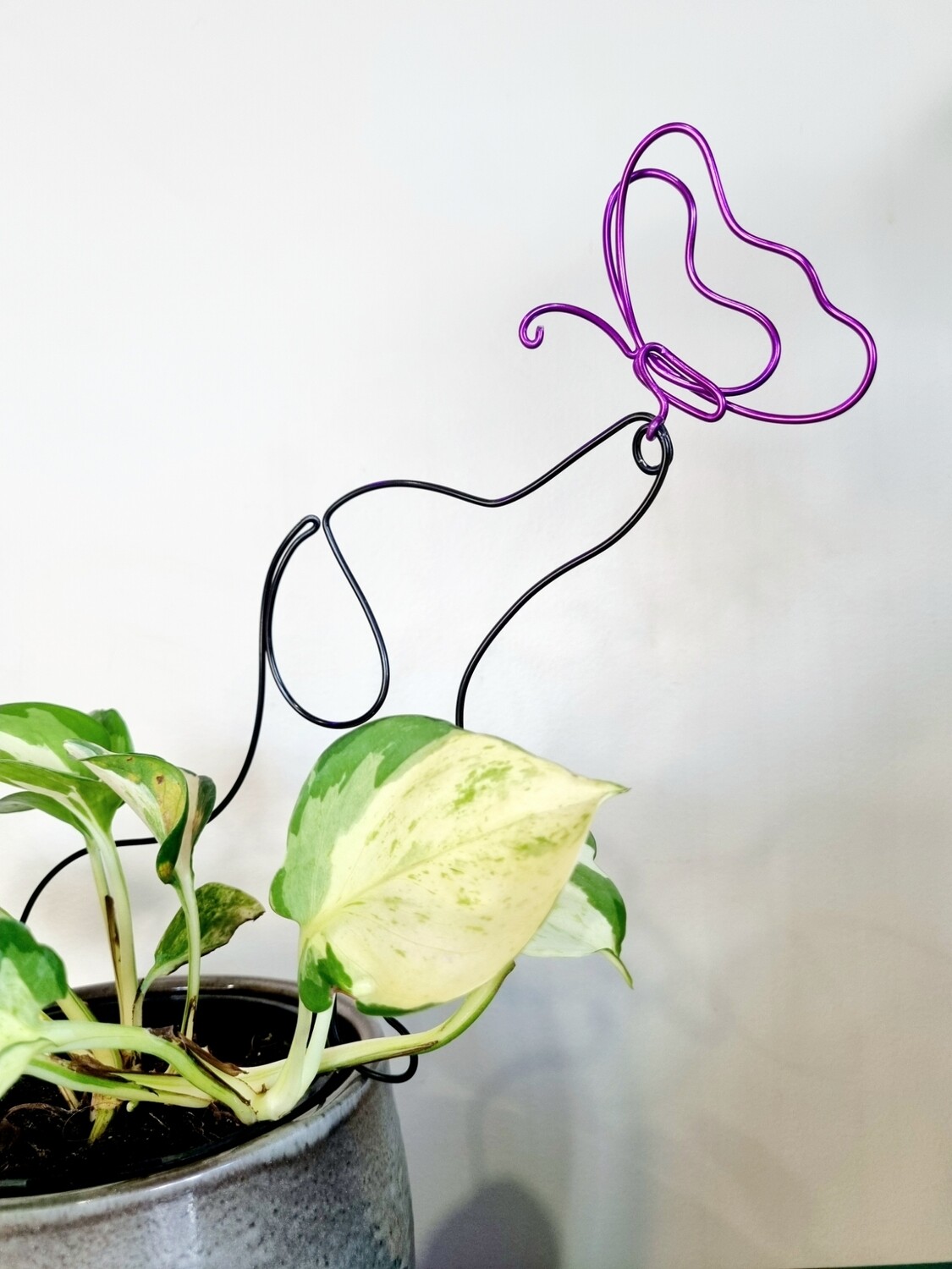 Strop It Plant Stake
