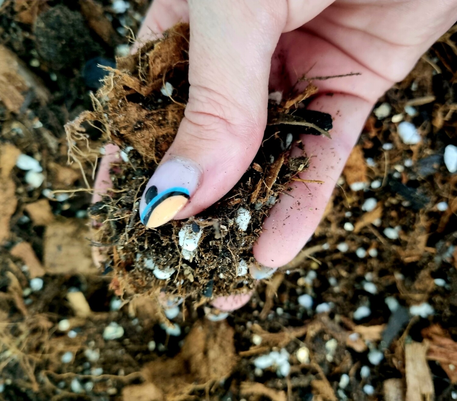 AROID SOIL MIX 800g