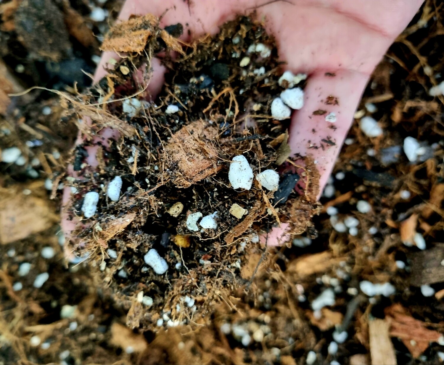 AROID SOIL MIX 800g