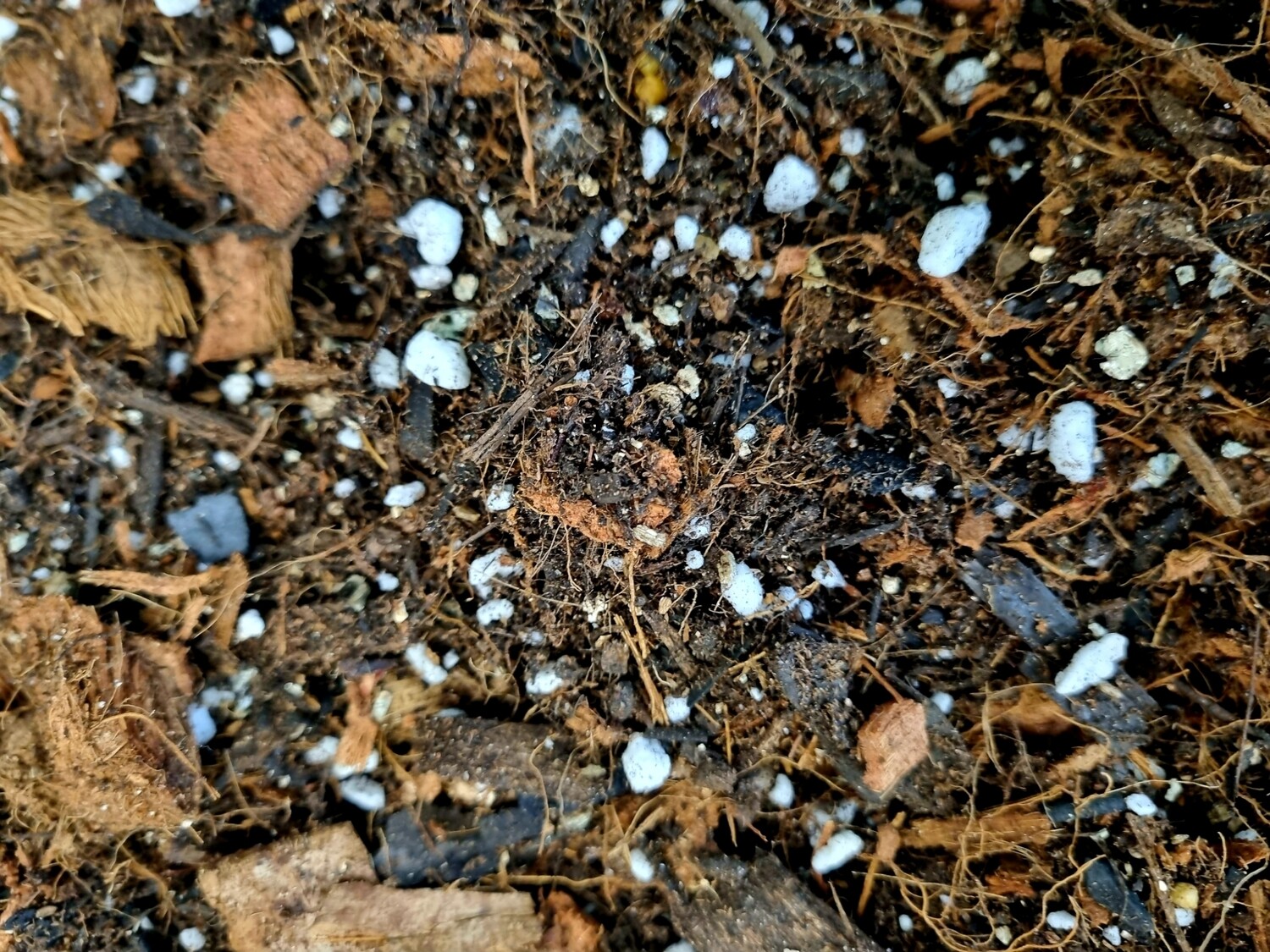 AROID SOIL MIX 800g