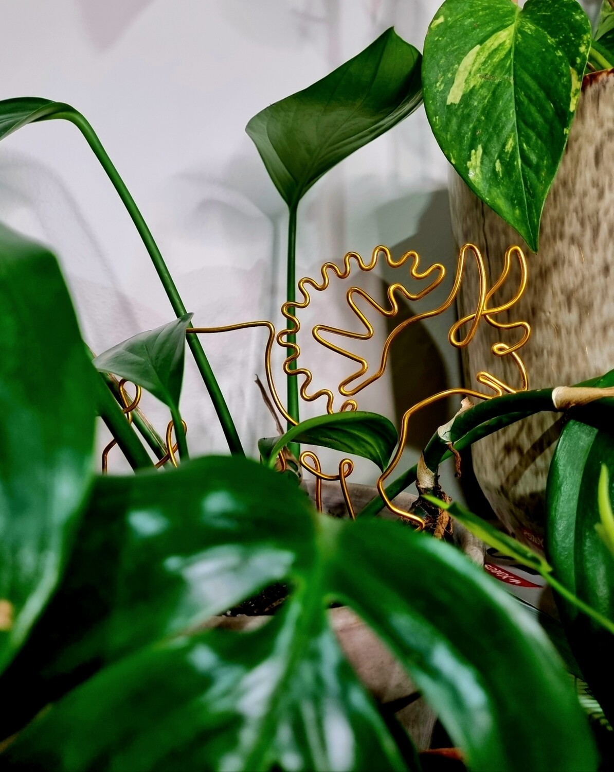 Plantceratops – Triceratops Plant Stake