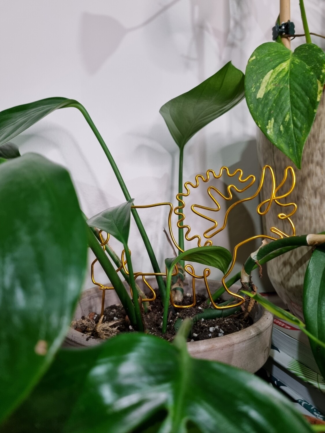 Plantceratops – Triceratops Plant Stake