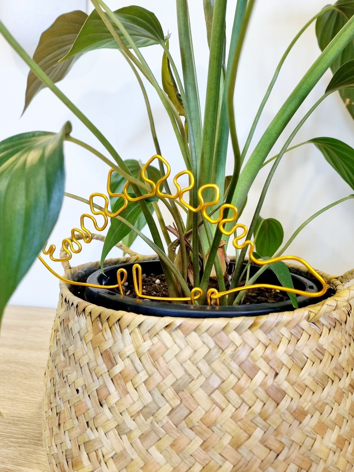 I Dino What to Tell Ya – Stegosaurus Plant Stake