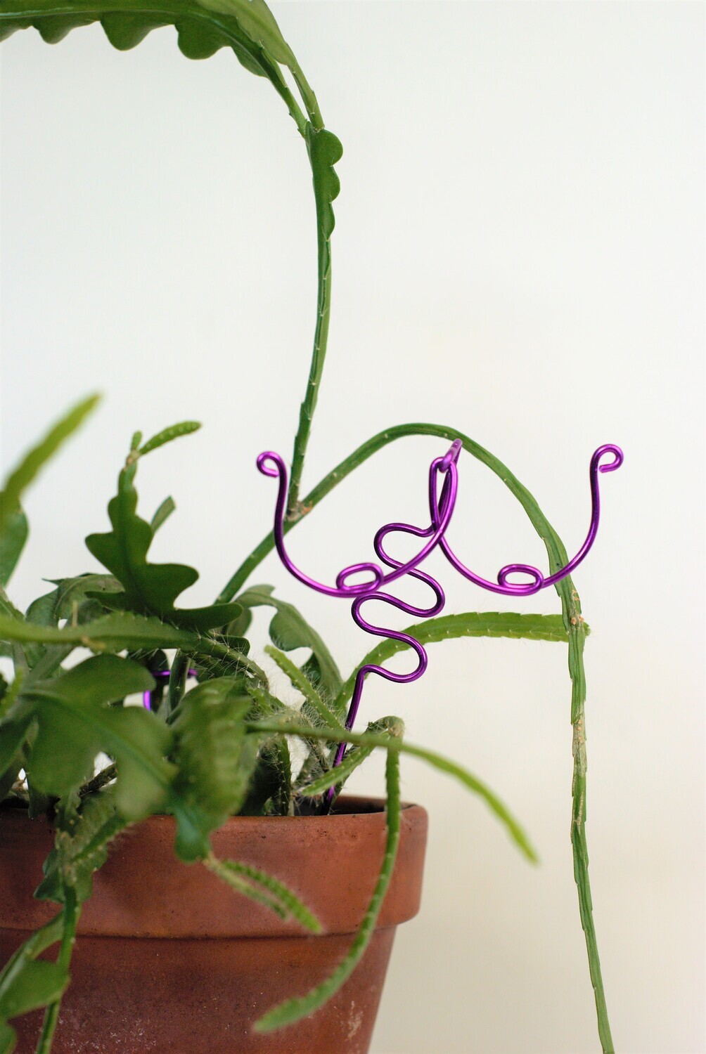 All Shapes And Sizes- BOOBIES plant trellises &amp; stakes