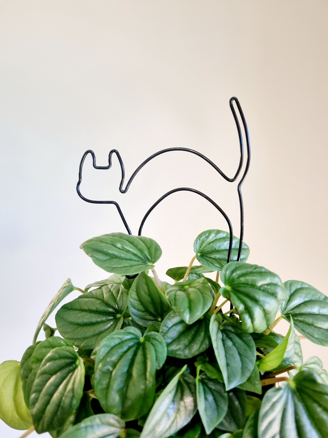 &quot;Paw-sitively Thriving&quot; Plant Stake