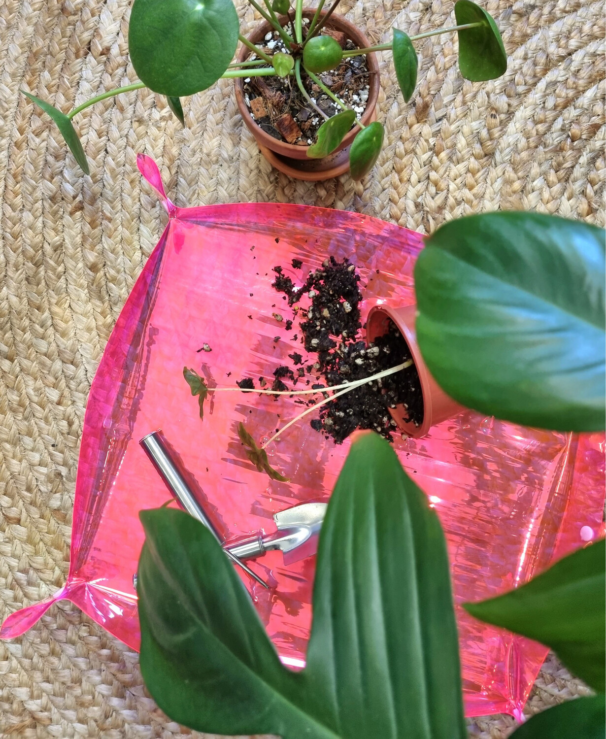 Repotting mat