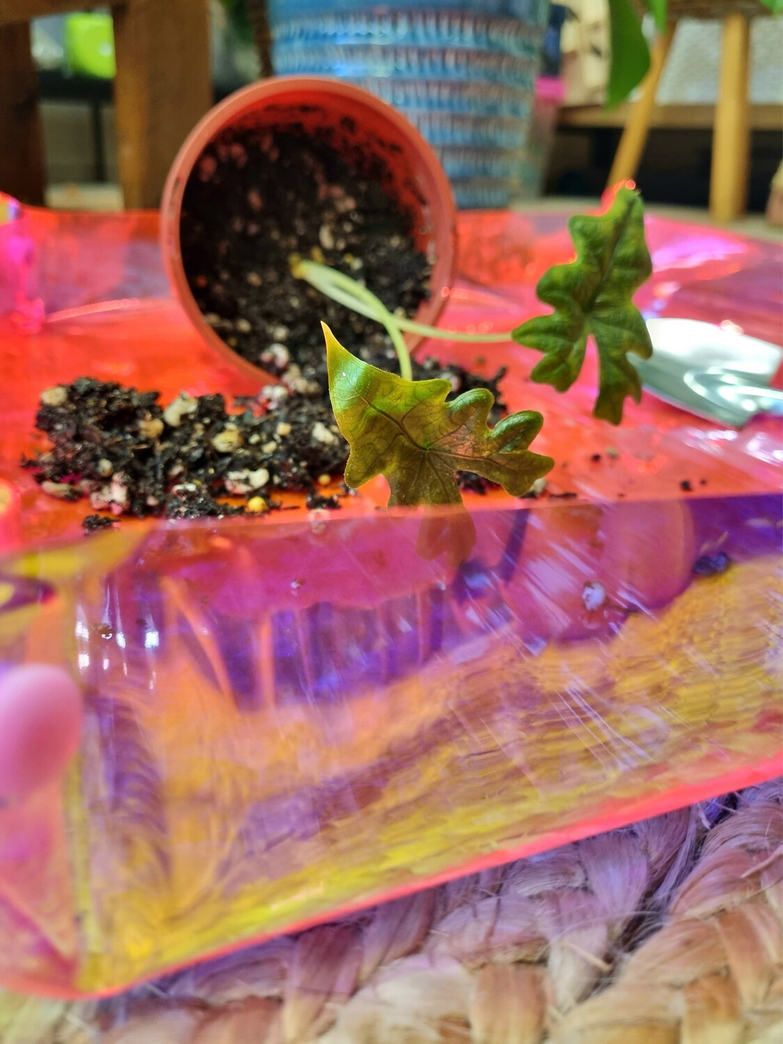 Repotting mat