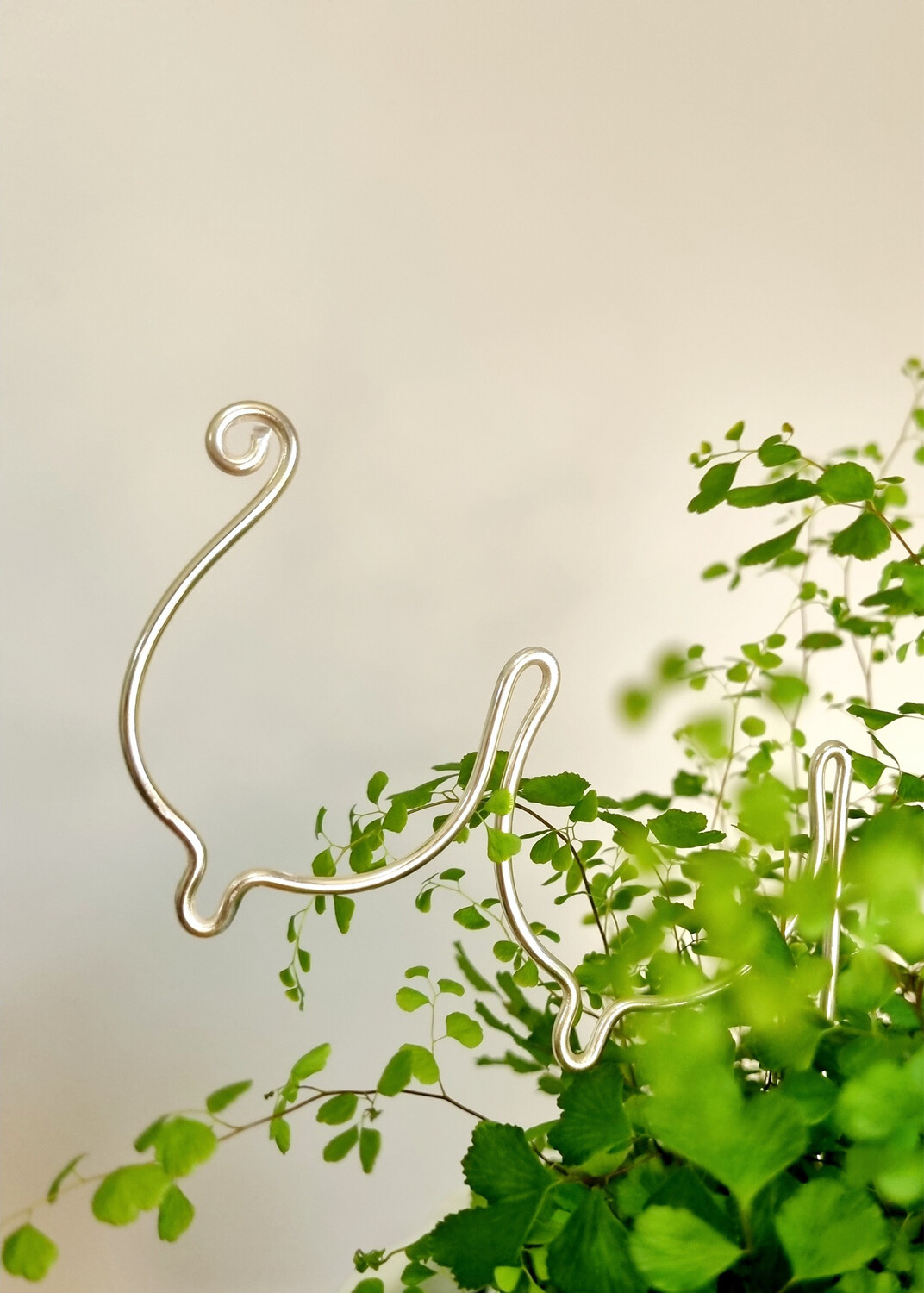 All Shapes And Sizes- BOOBIES plant trellises &amp; stakes