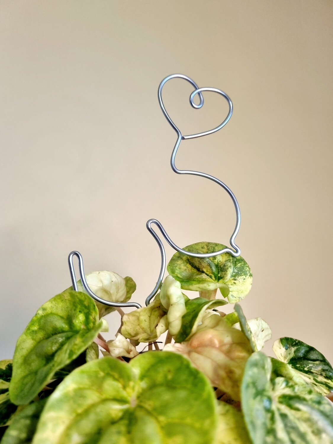 All Shapes And Sizes- BOOBIES plant trellises &amp; stakes