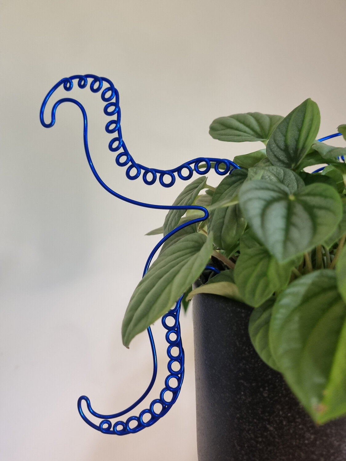 Octoplant Plant Stakes