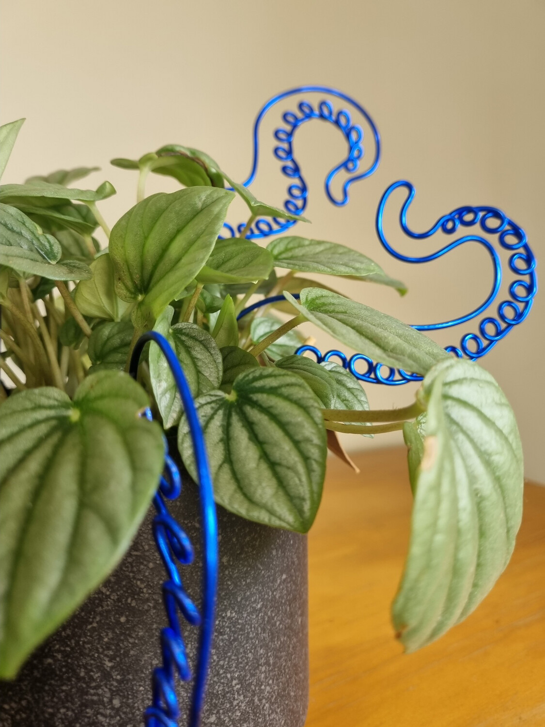 Octoplant Plant Stakes