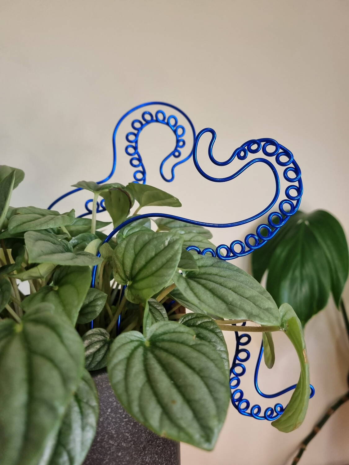 Octoplant Plant Stakes