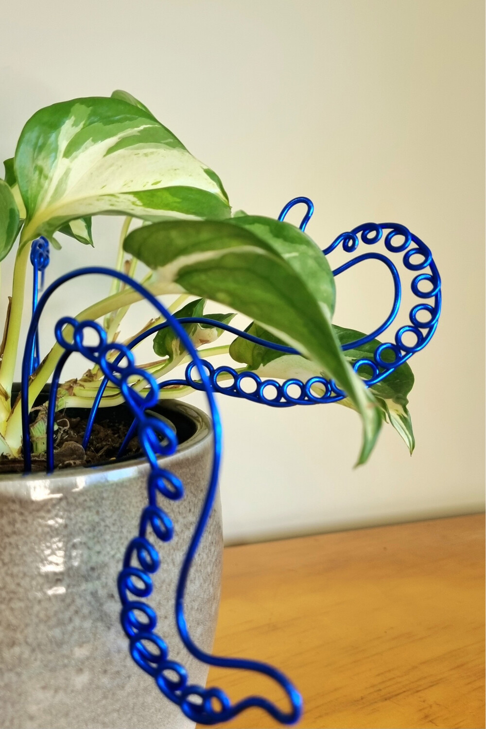 Octoplant Plant Stakes