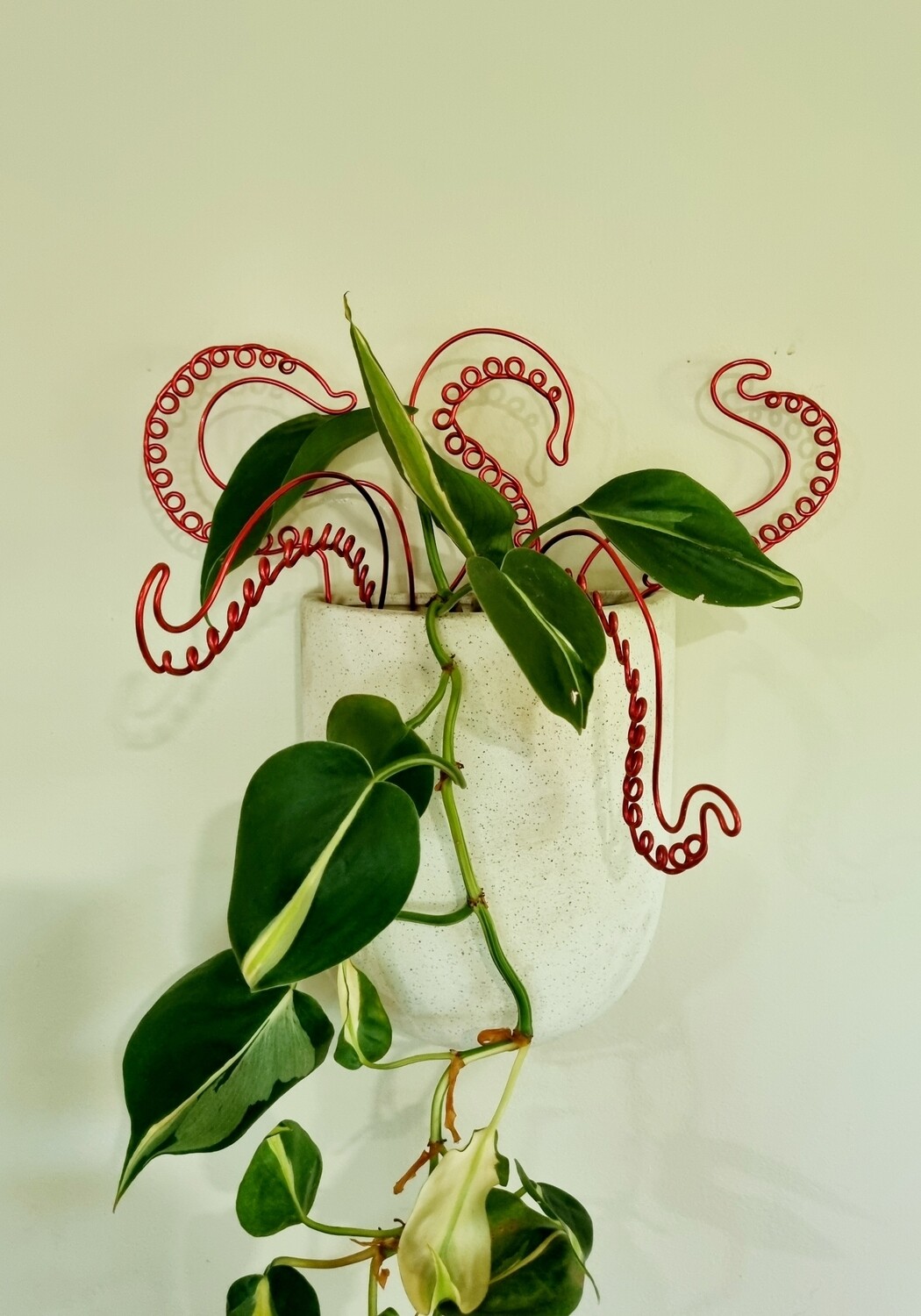 Octoplant Plant Stakes