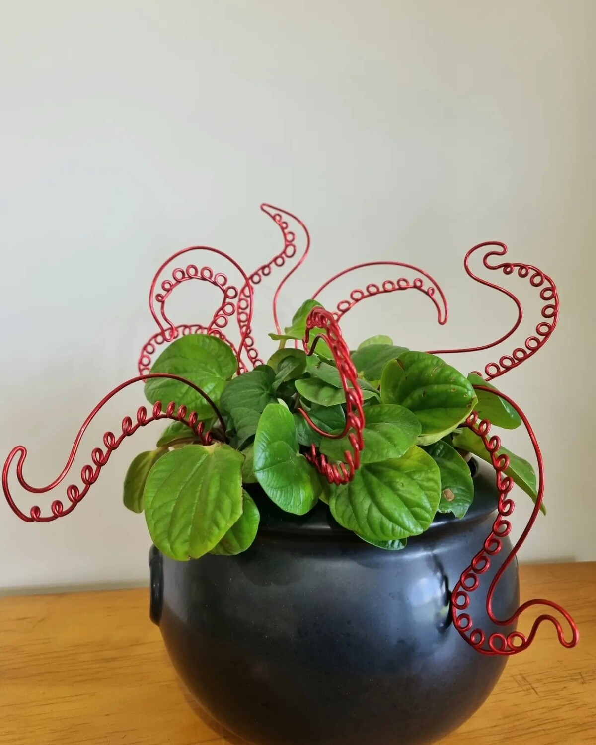 Octoplant Plant Stakes