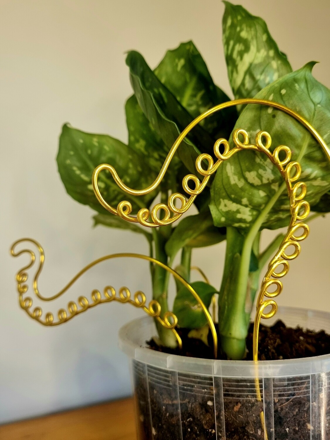 Octoplant Plant Stakes