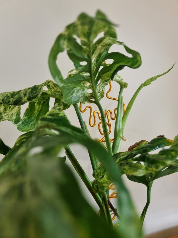 Christmas candle - plant stake