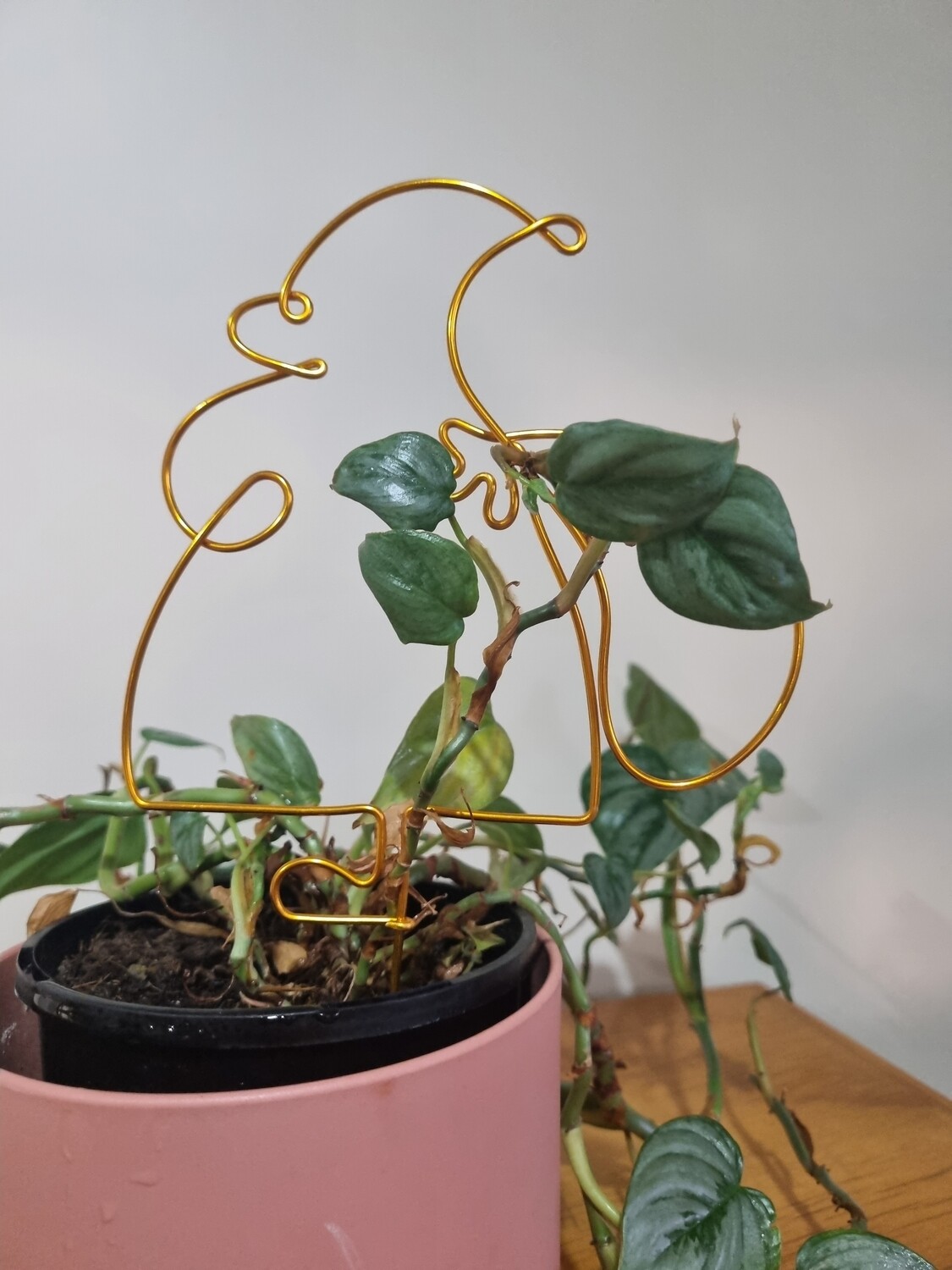 Planta Claus is coming to town - Plant stake