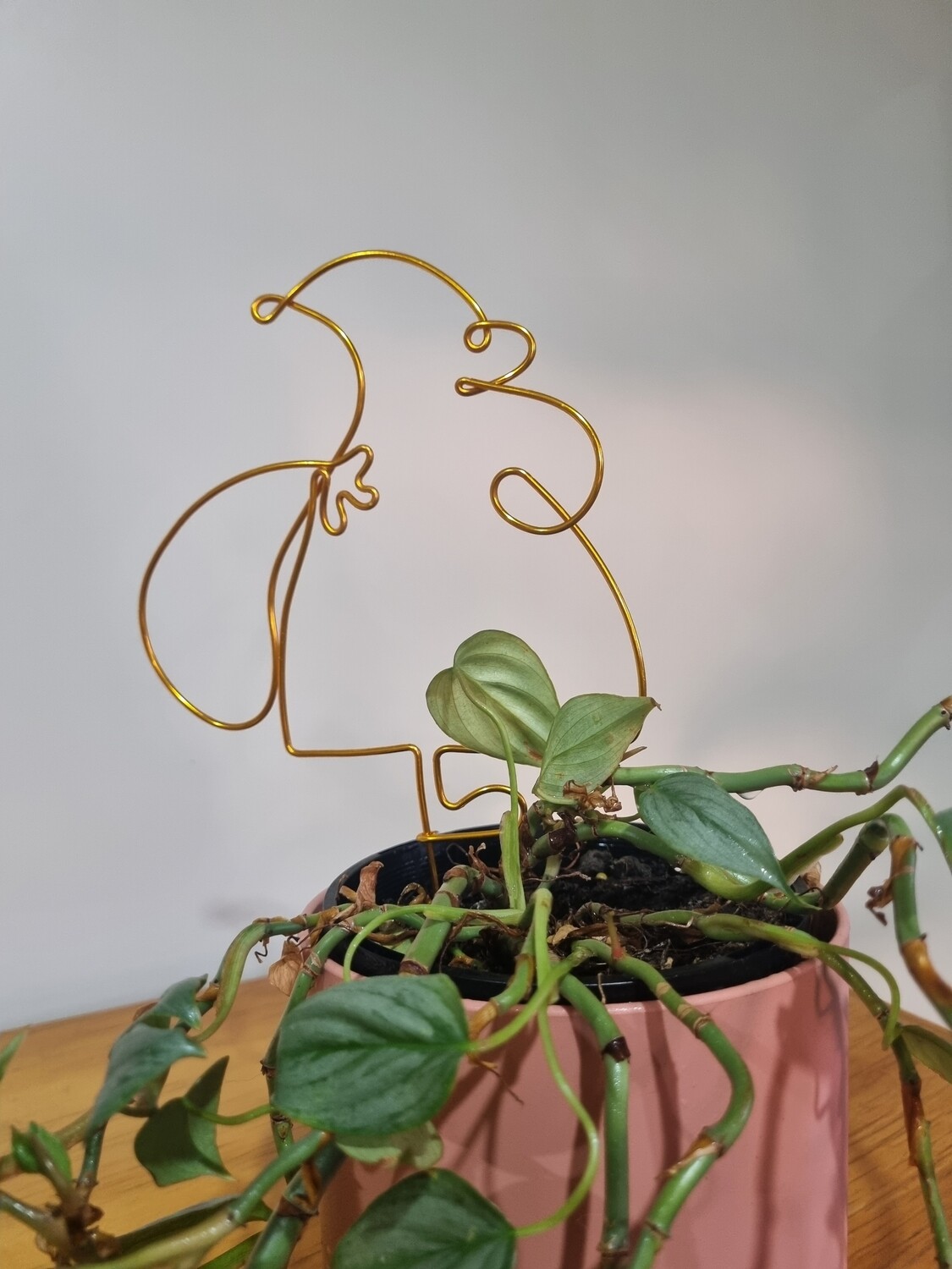 Planta Claus is coming to town - Plant stake