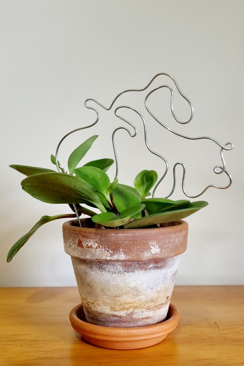 &quot;Free-Spirited &amp; Full of Flair&quot; - Aquarius Zodiac Plant Stake