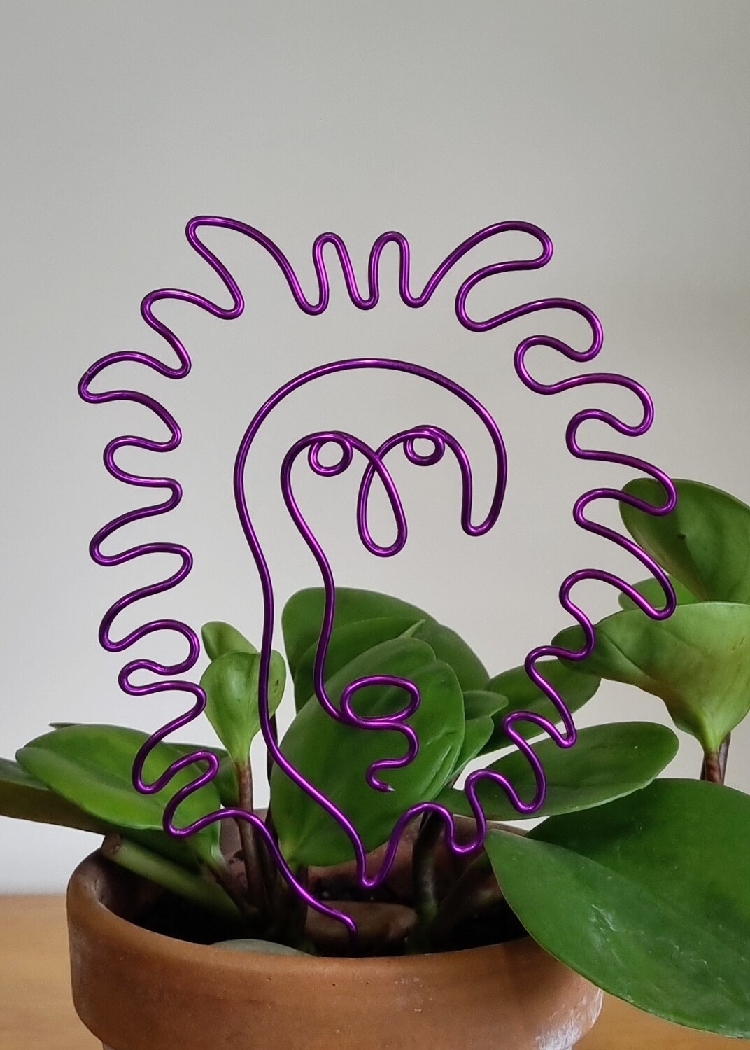 “Hear Me Roar” – Zodiac Plant Stake