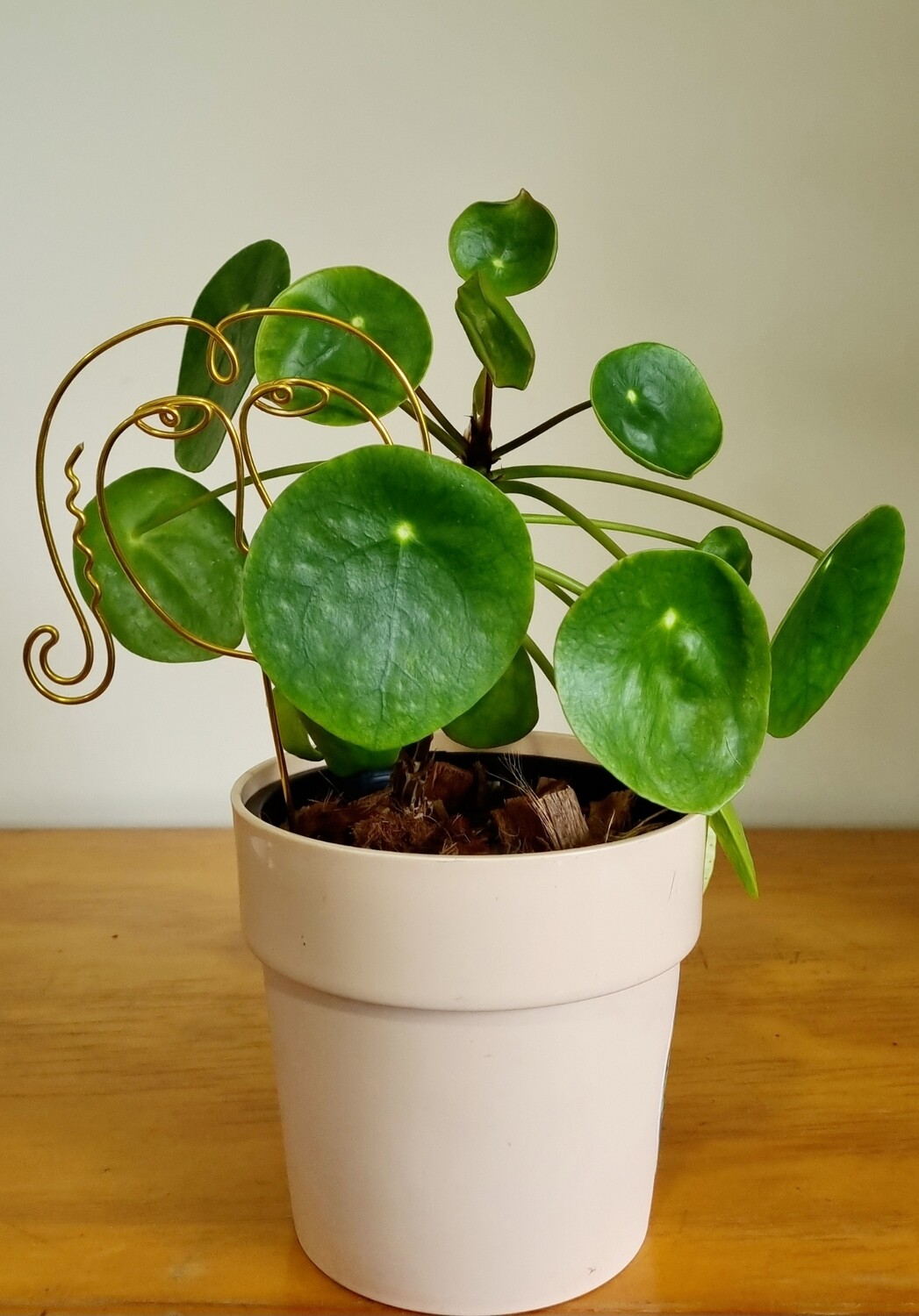 “Very Virgo” Zodiac Plant Stake