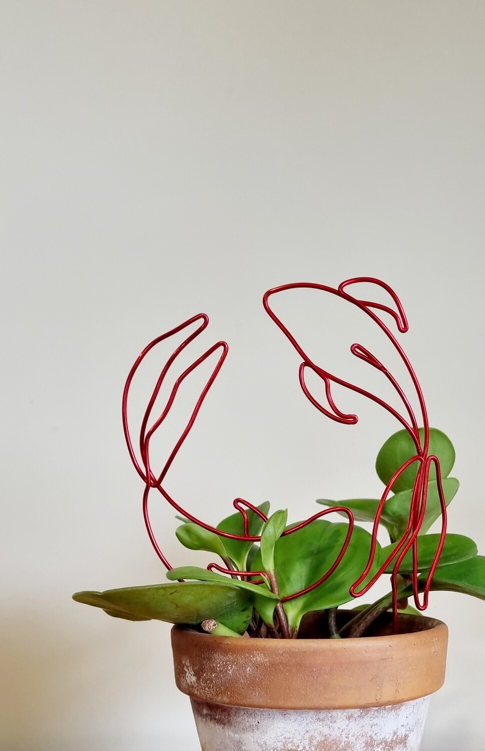 “Go With the Grow” – Zodiac Plant Stake