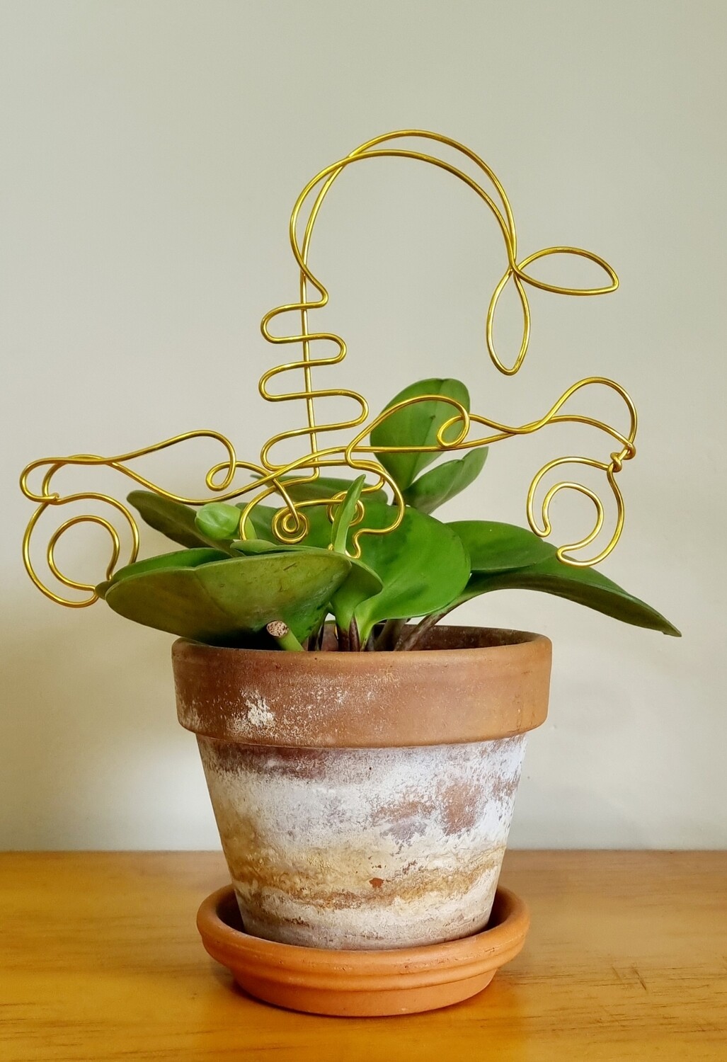 “Sting in Style” – Zodiac Plant Stake