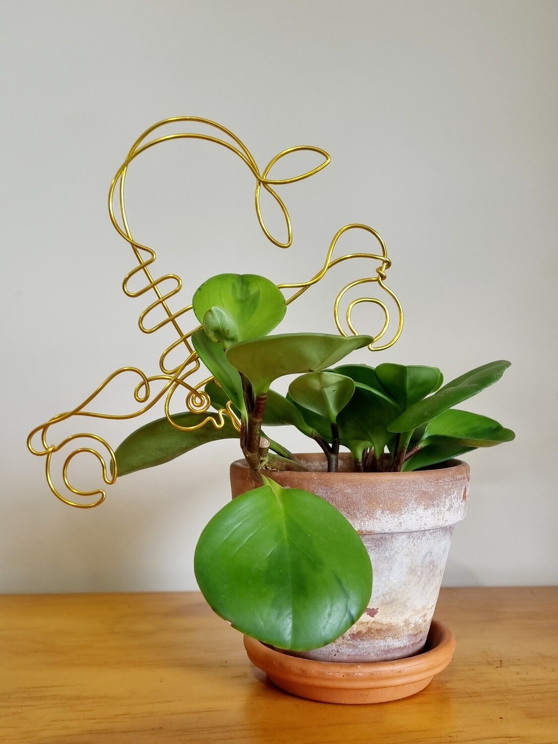 “Sting in Style” – Zodiac Plant Stake