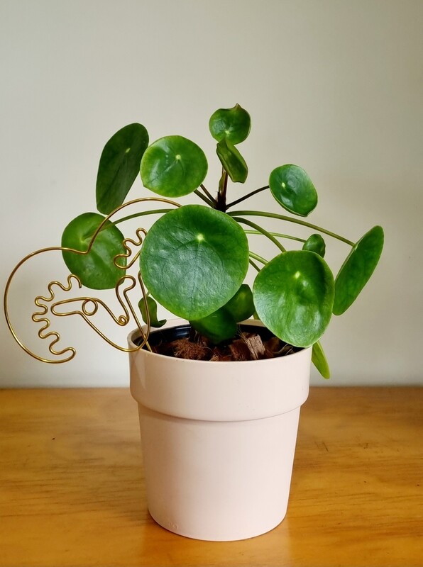 &quot;Bold, Bright &amp; Born to Thrive&quot; - Aries Zodiac Plant Stake