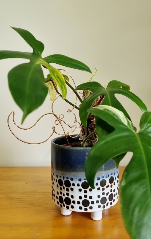&quot;Rooted in Taurus&quot; – Zodiac Plant Stake
