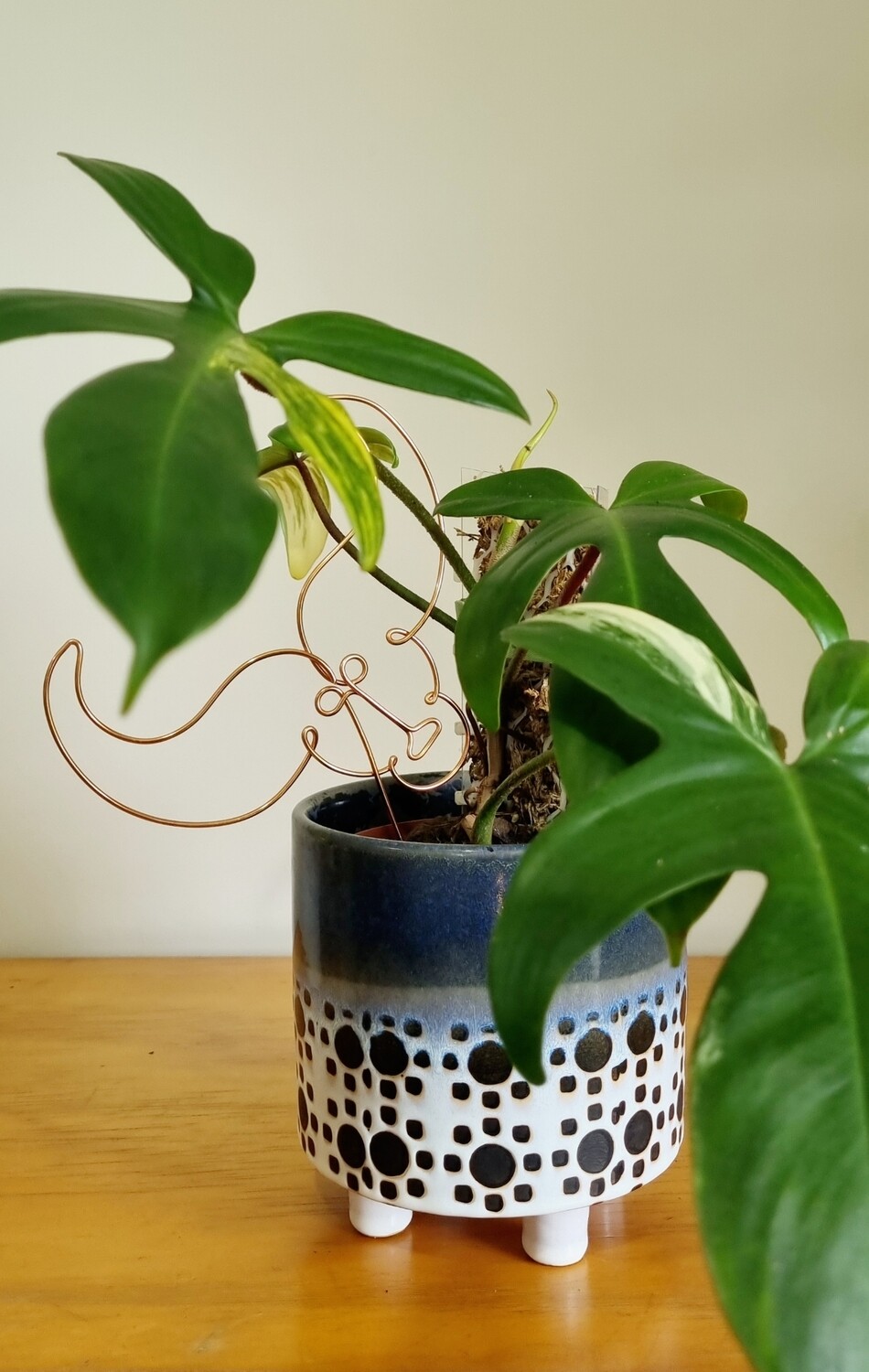 &quot;Rooted in Taurus&quot; – Zodiac Plant Stake