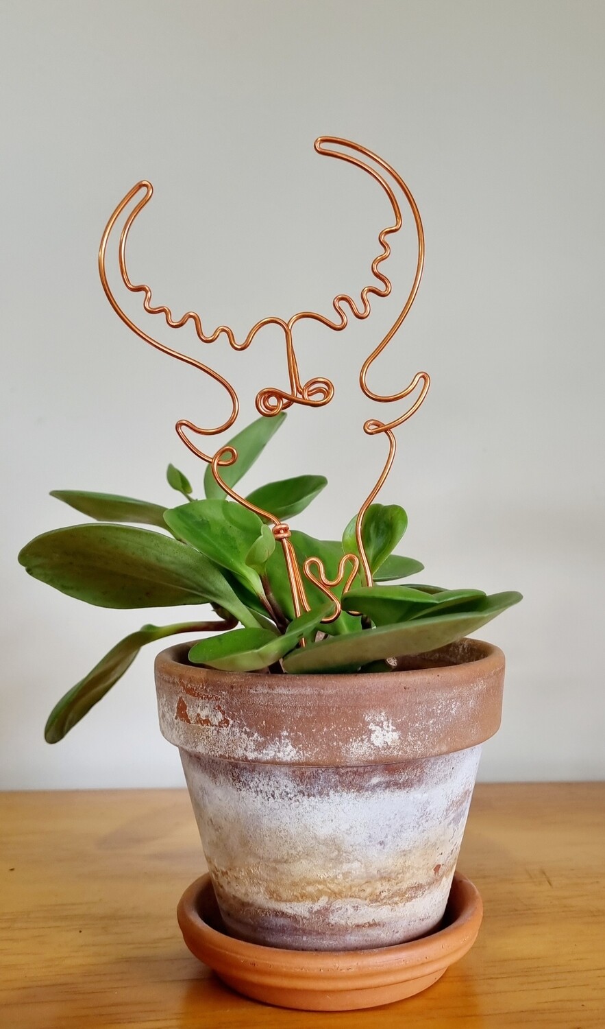 &quot;Capri-calm &amp; Collected&quot; Zodiac Garden Stake (Capricorn)